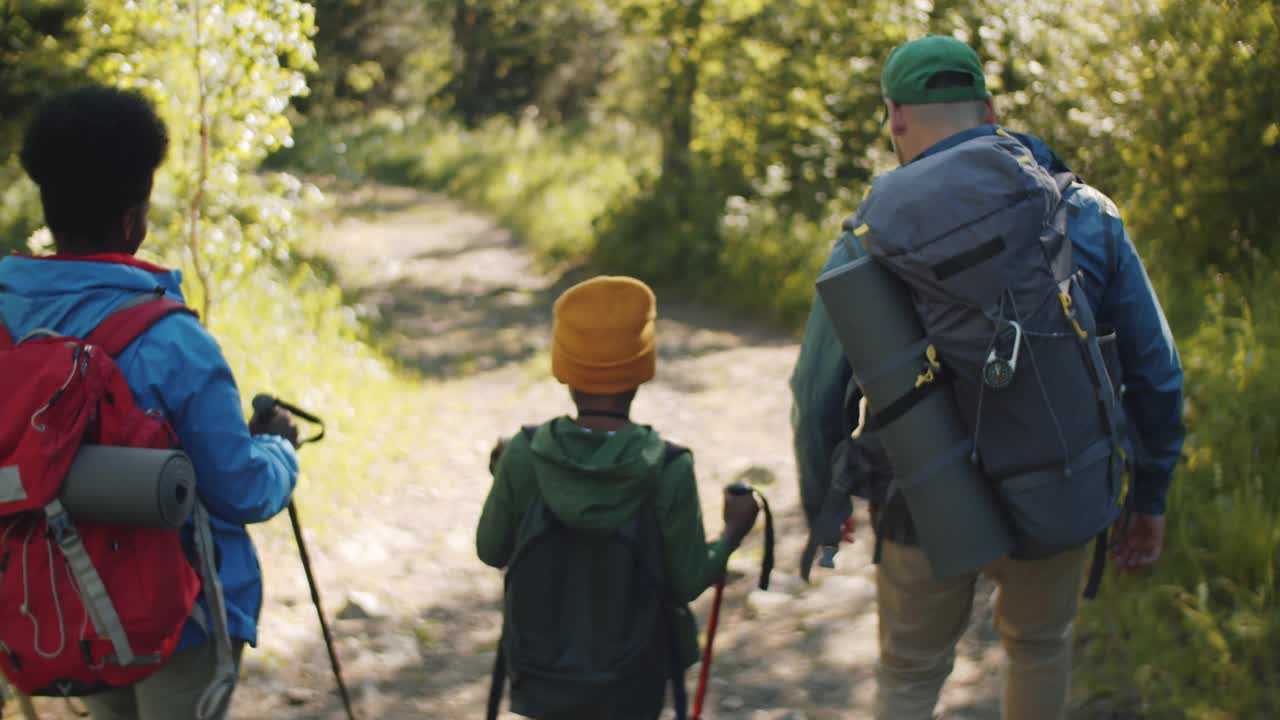 不同的家庭一起在森林里徒步旅行视频素材
