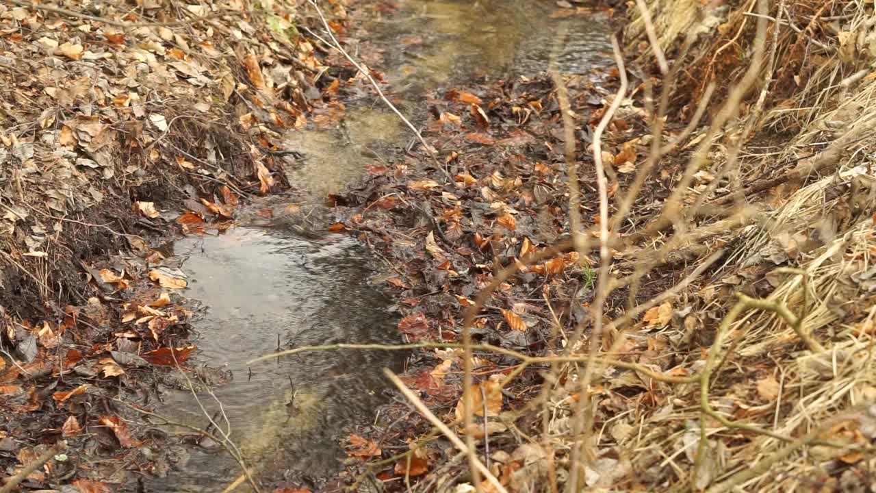 流动的水流视频下载