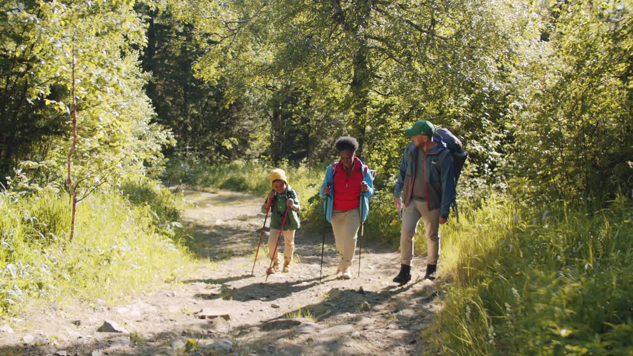 多民族家庭与徒步波兰人在森林中行走视频素材