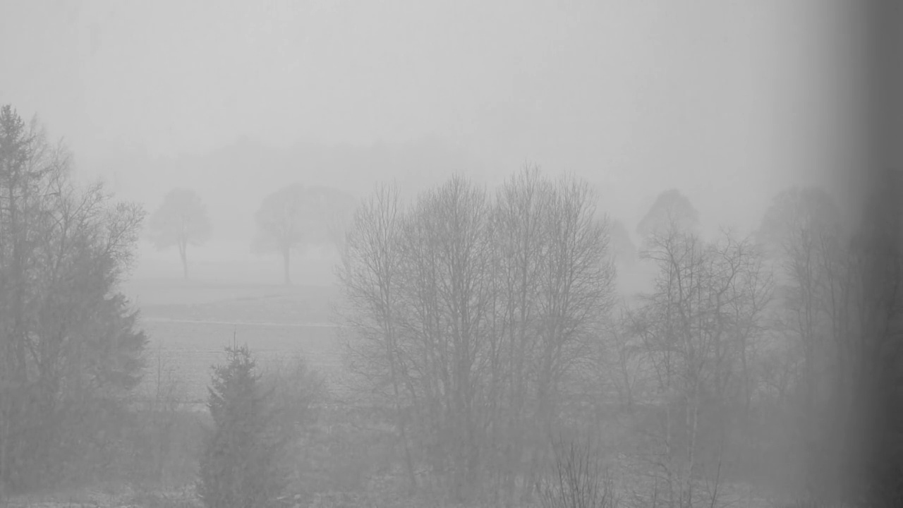 暴风雪视频素材