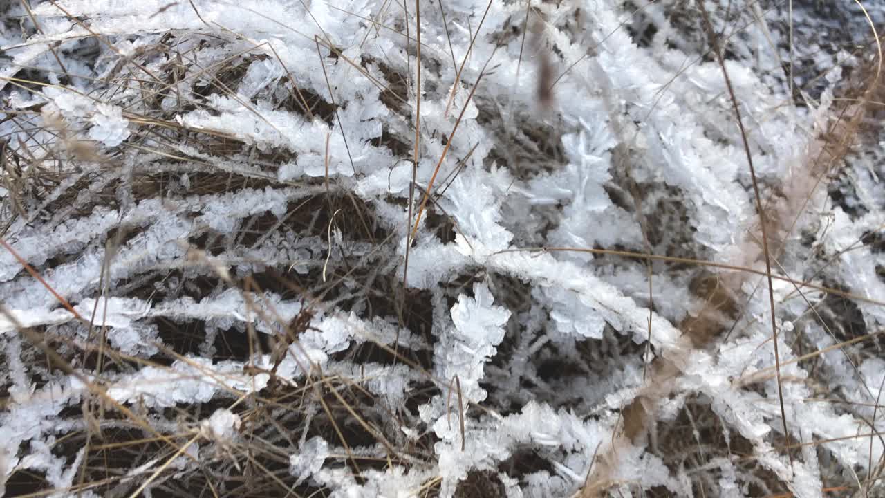 干草上近距离覆盖着霜视频素材