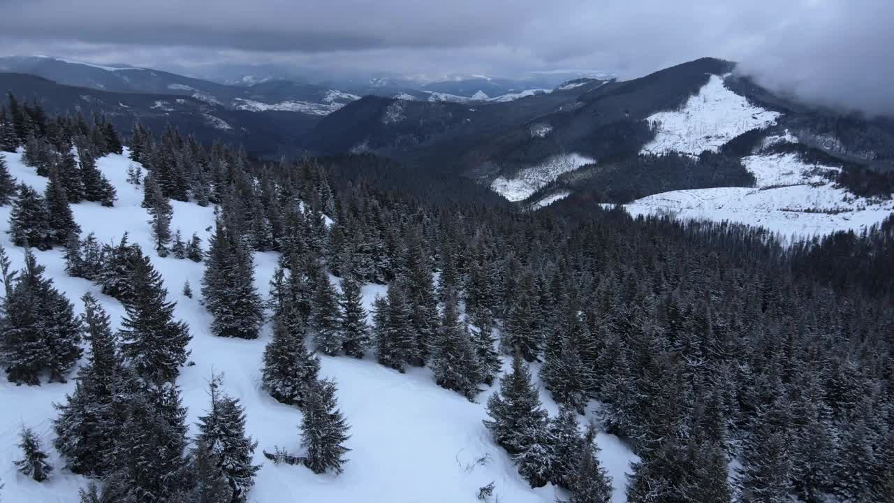 从无人机到覆盖着积雪的喀尔巴阡山脉，山坡上树木繁茂。视频素材