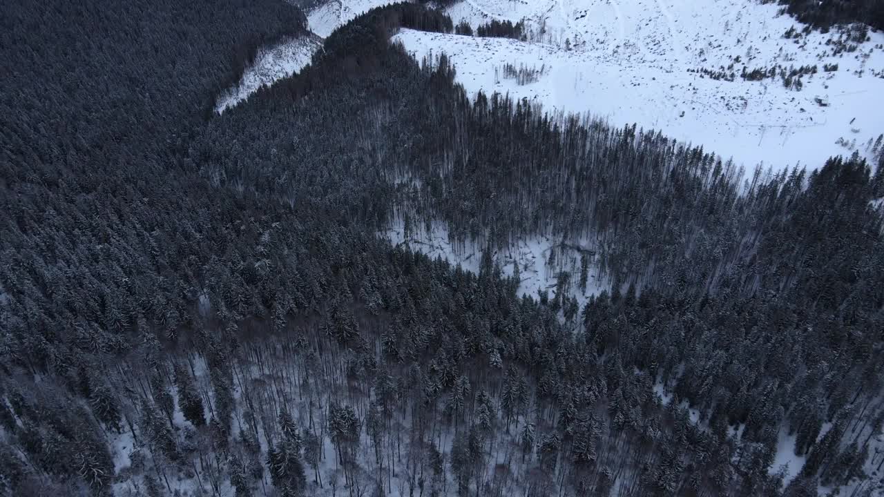 从无人机到覆盖着积雪的喀尔巴阡山脉，山坡上树木繁茂。视频素材