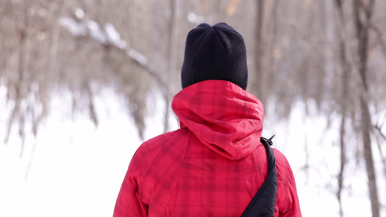 冬天穿雪鞋在森林里行走的女人视频素材