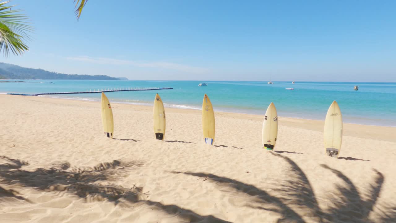 黄色风帆冲浪或冲浪板在异国情调的沙滩上与剪影棕榈树的阴影视频素材