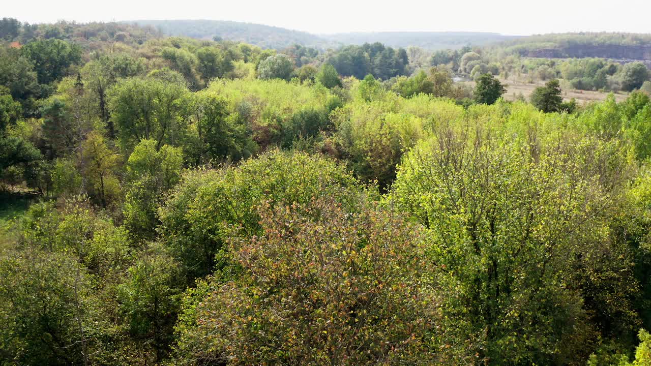 神奇的景观环境。绿树和草地。夏季的自然背景。宁静清新的景观氛围。鸟瞰图。视频素材