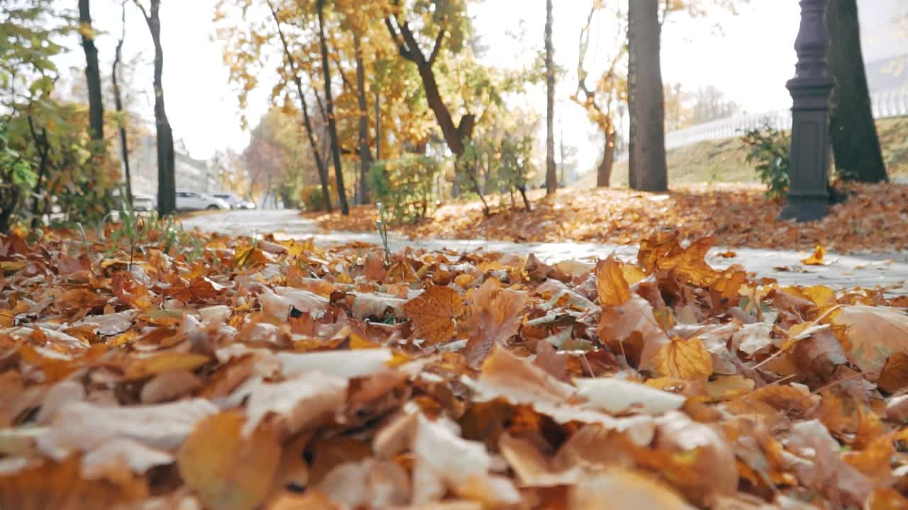 枯黄的秋叶落在巷子上的特写。慢镜头1视频素材