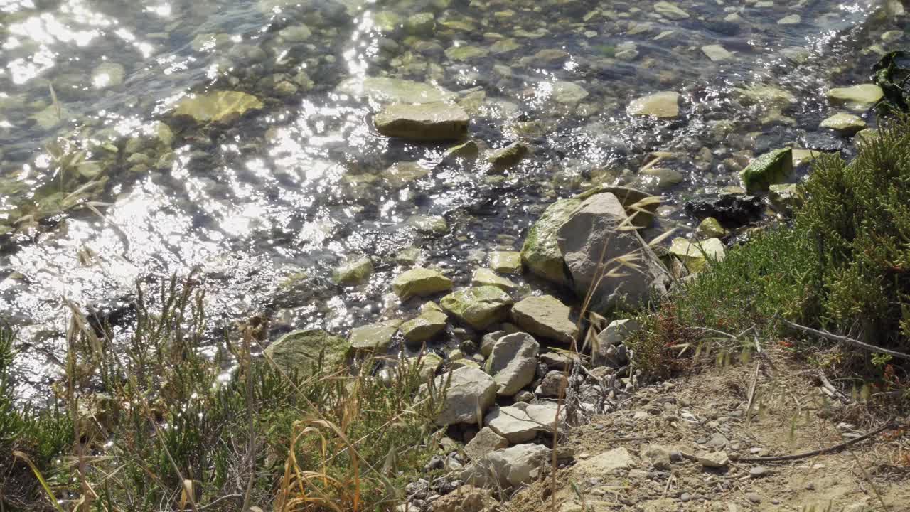 阳光明媚的地中海。浅水的波浪拍打着盐湖上陈旧的发霉的岩石视频素材