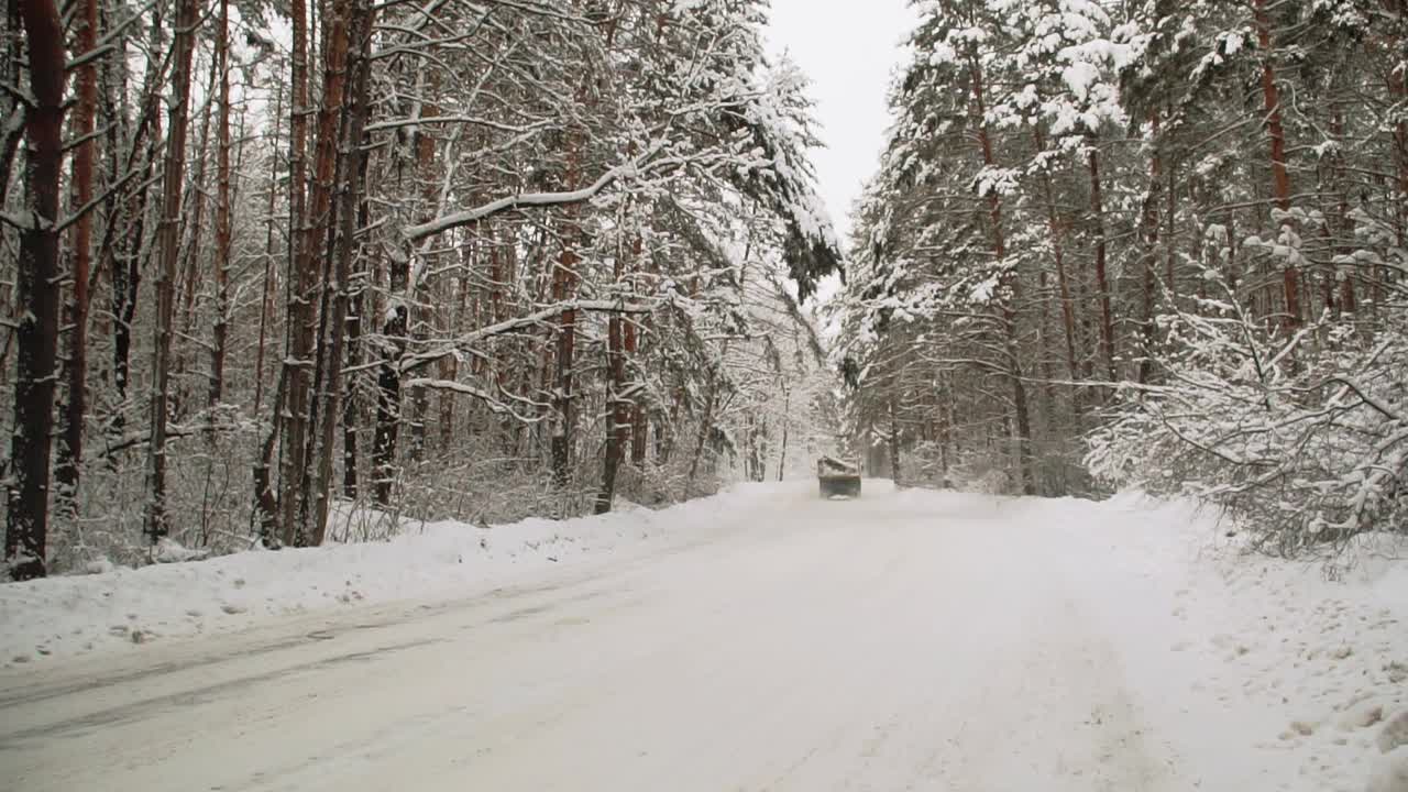 在一场大雪中白雪覆盖的松林景观视频素材