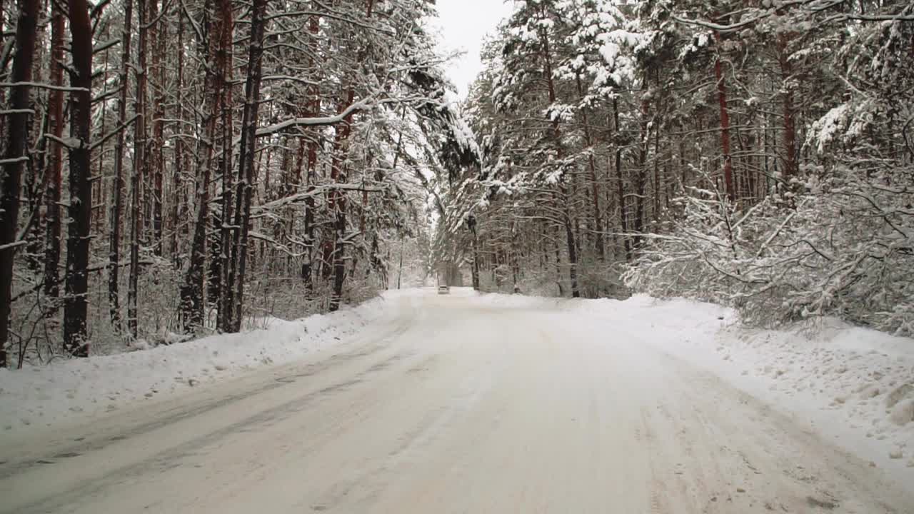 在一场大雪中白雪覆盖的松林景观视频素材