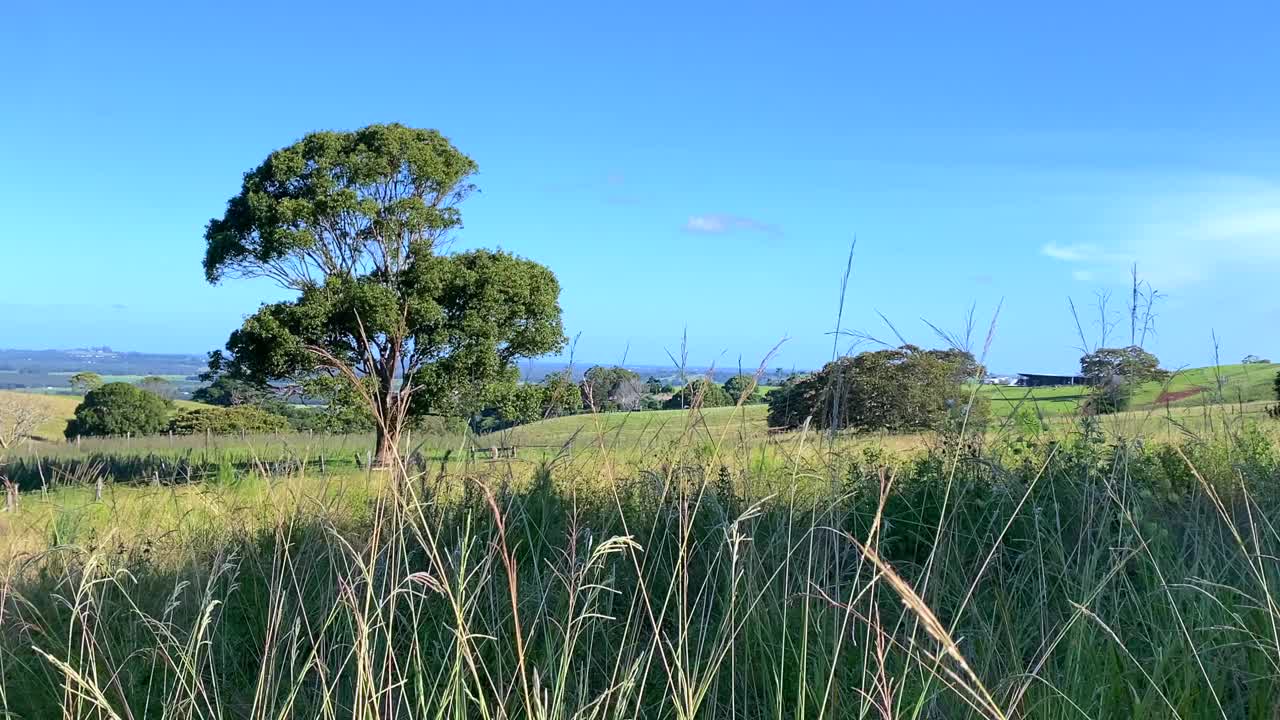 广阔的乡村景观澳大利亚视频素材