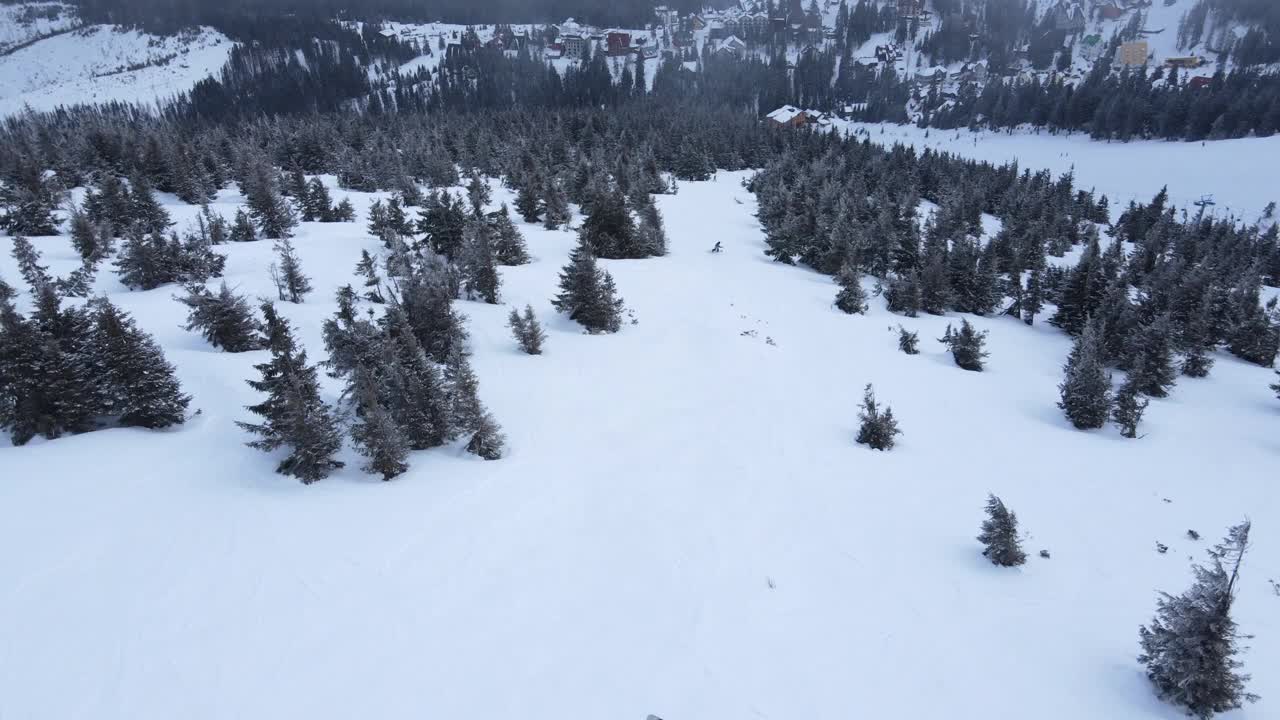 人们在针叶树间玩滑雪板。视频素材