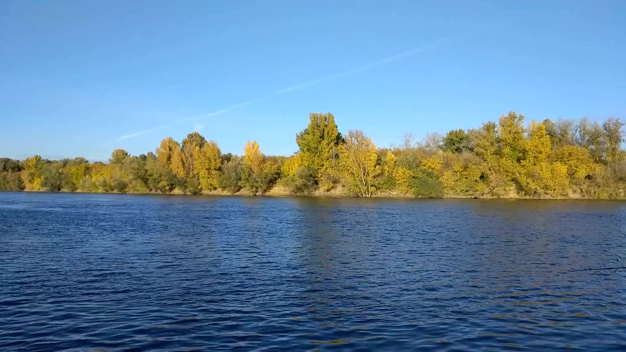 平静的河水在晴朗的日子里流淌视频素材