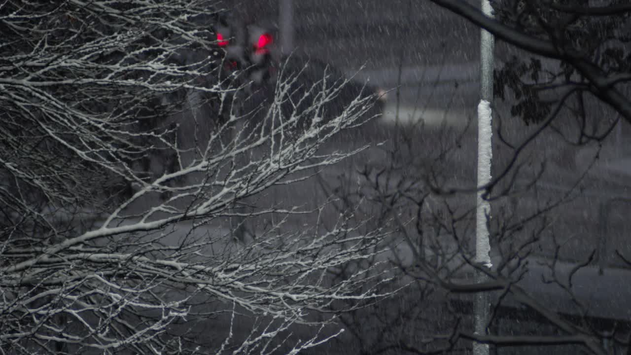 城市的树上有雪，街道和红绿灯作为背景视频下载