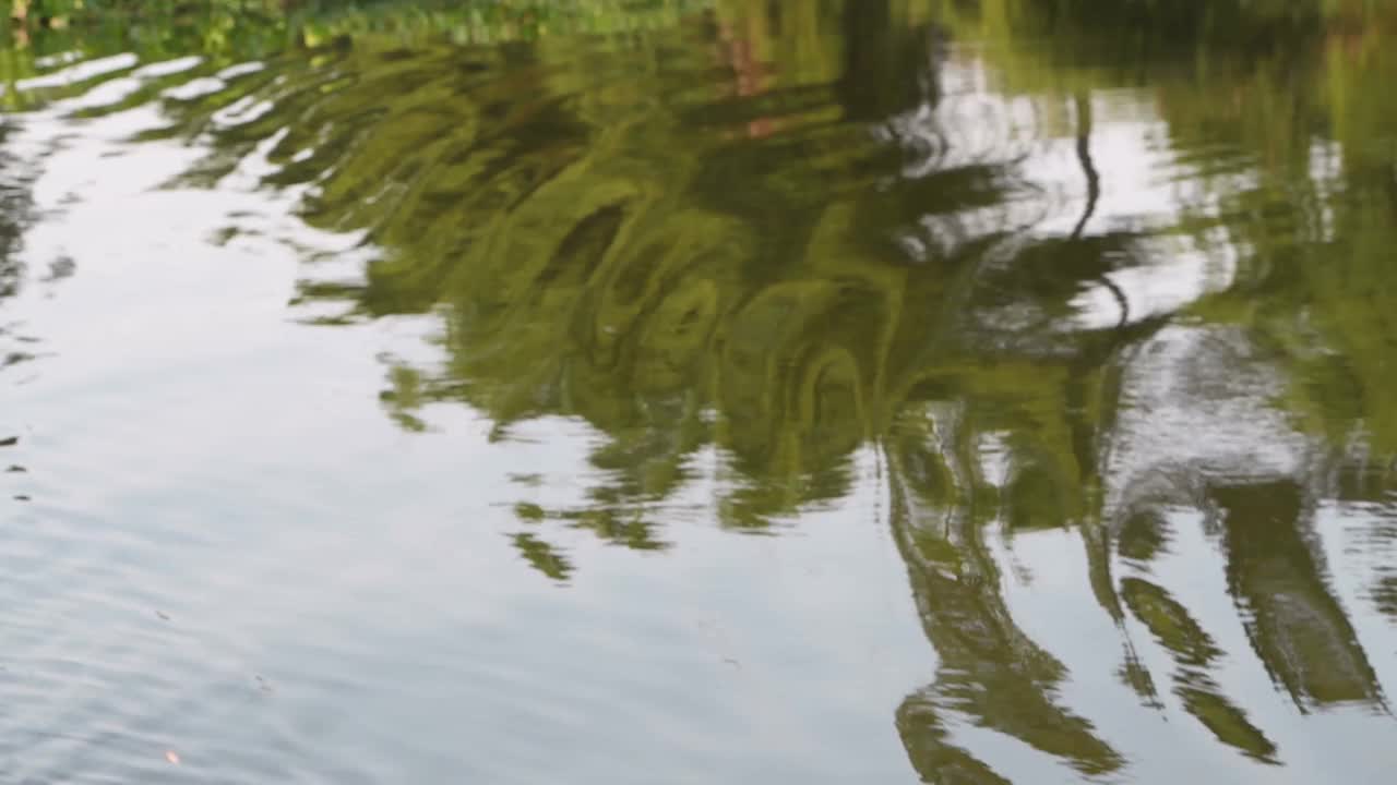 流水纹理，抽象背景视频素材