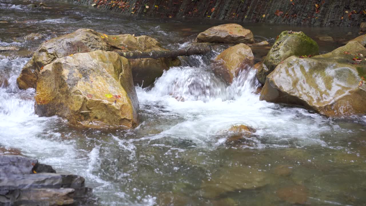 野生山河近清晰的小溪静态拍摄视频素材