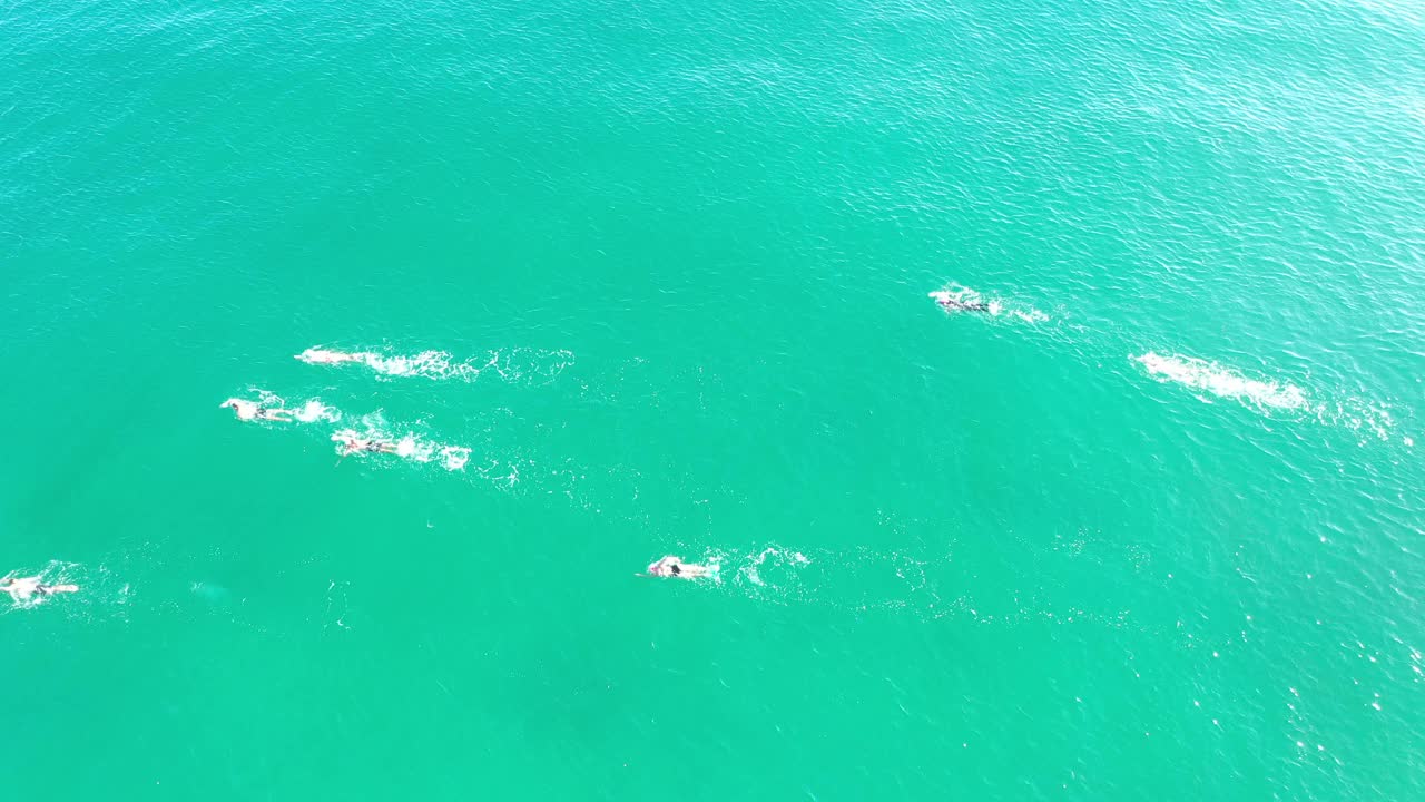 人们在澳大利亚黄金海岸清澈的海水中游泳的视频视频下载