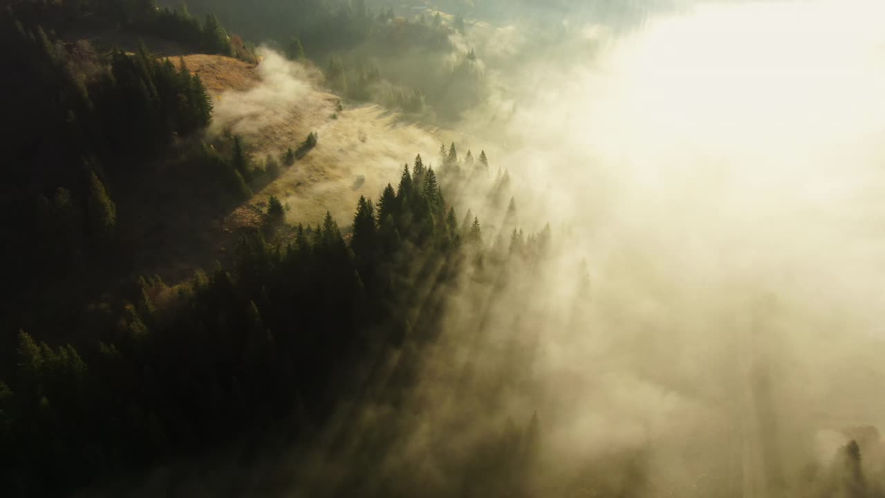 鸟瞰图清晨的雾和日出在喀尔巴阡山脉的秋天。秋天的日出和雾笼罩着山林，以美丽的山水为背景视频素材