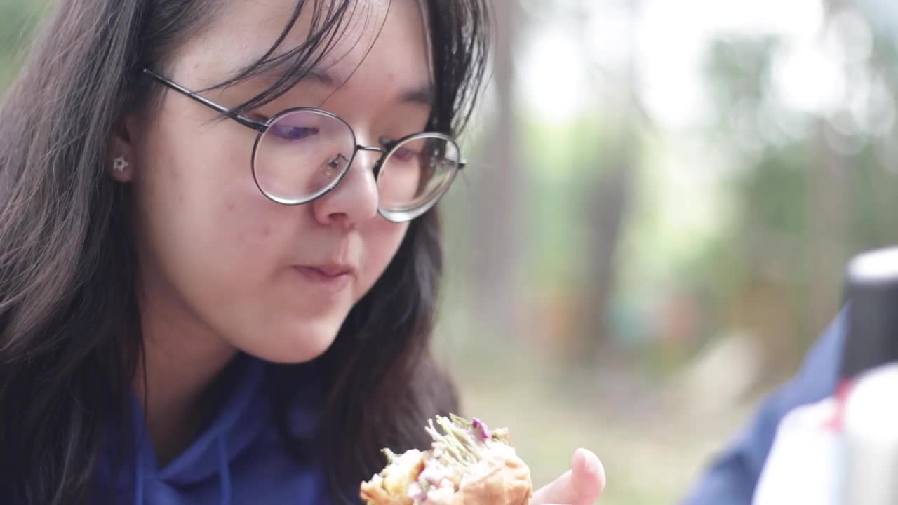 在自然保护区野餐视频下载