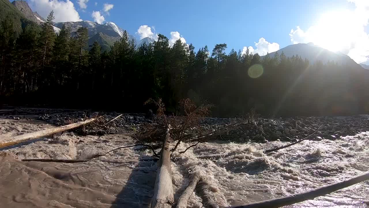 肮脏的山河和倒下的树视频素材