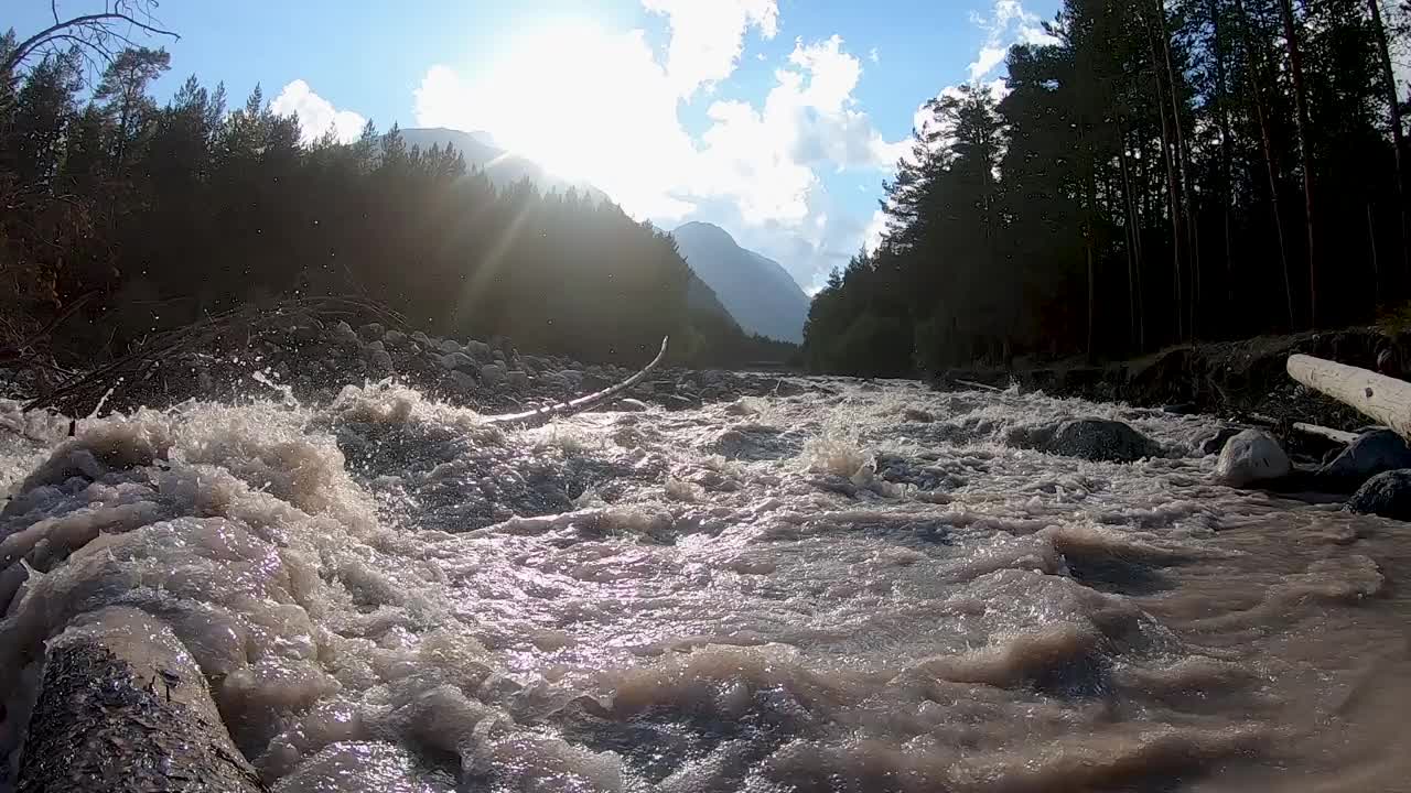 山河的溪流越过倒下的树视频下载