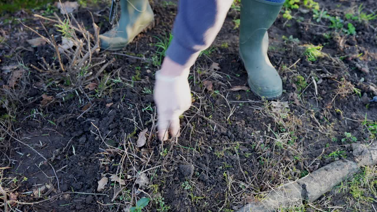 在菜园锄草、耙草视频素材