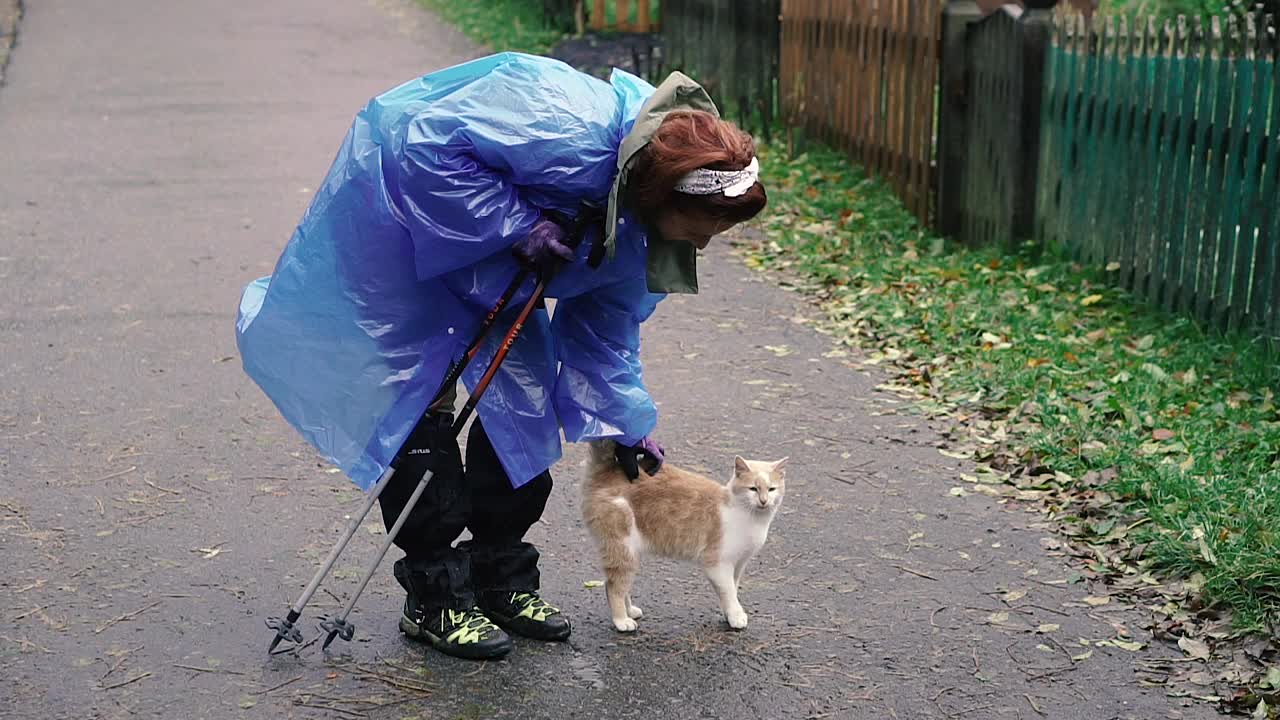 雨衣。一个穿着格子雨衣的女孩抚摸着一只姜黄色的猫。视频素材