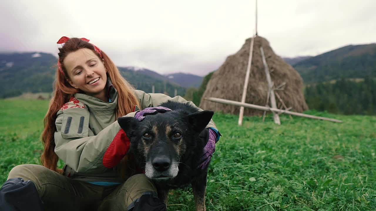 旅行。一个女人在山里抚摸一只狗。视频素材