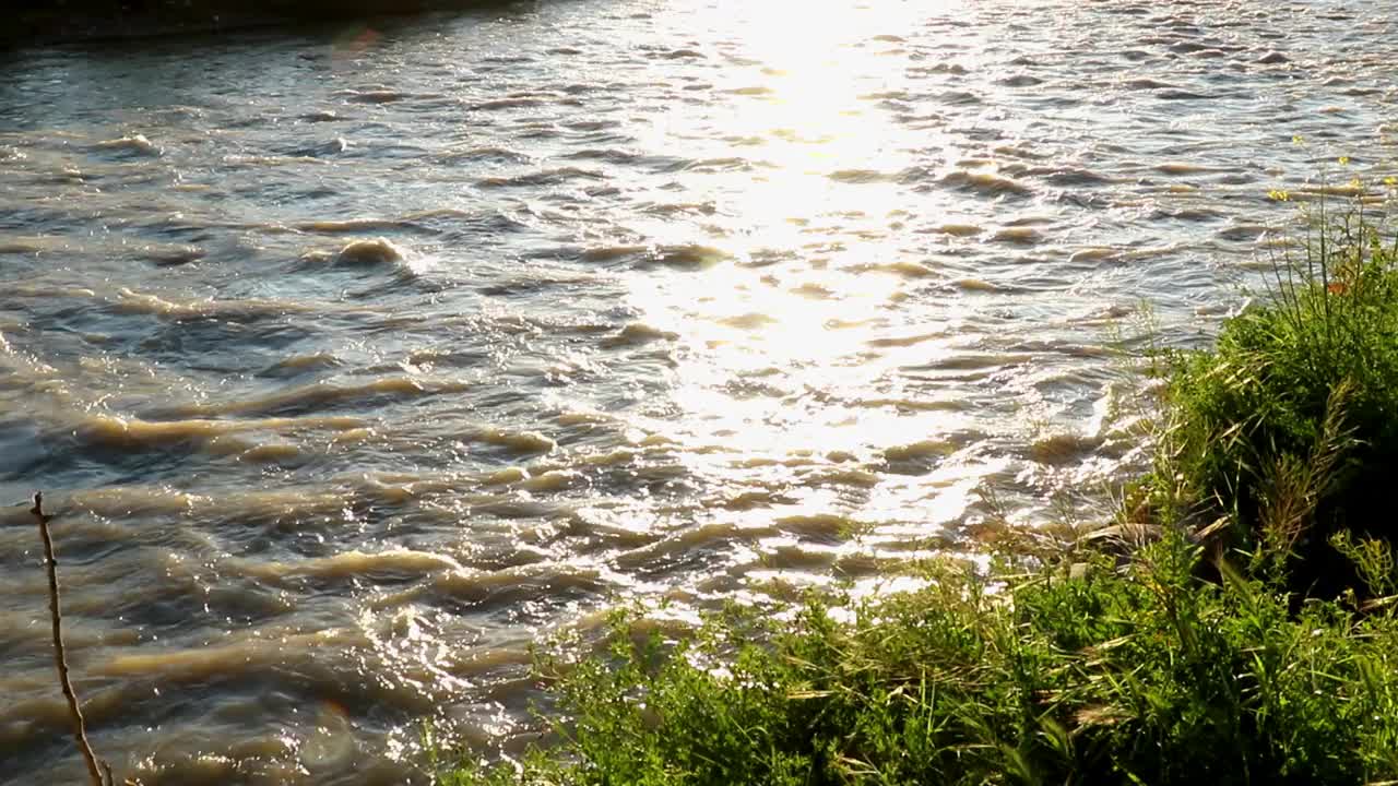 河水在阳光下荡漾，流水在流动，流水在运动视频下载