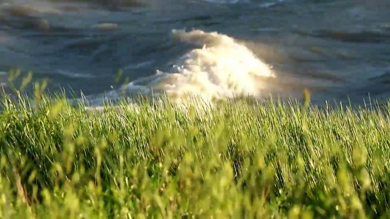 河水的波浪在阳光的特写，水流动，运动视频下载