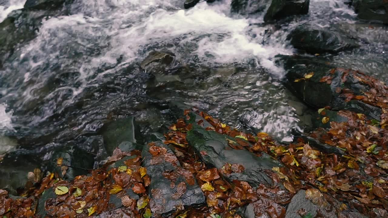 山区河流。这条山河在秋天流淌。喀尔巴阡山。乌克兰。视频素材