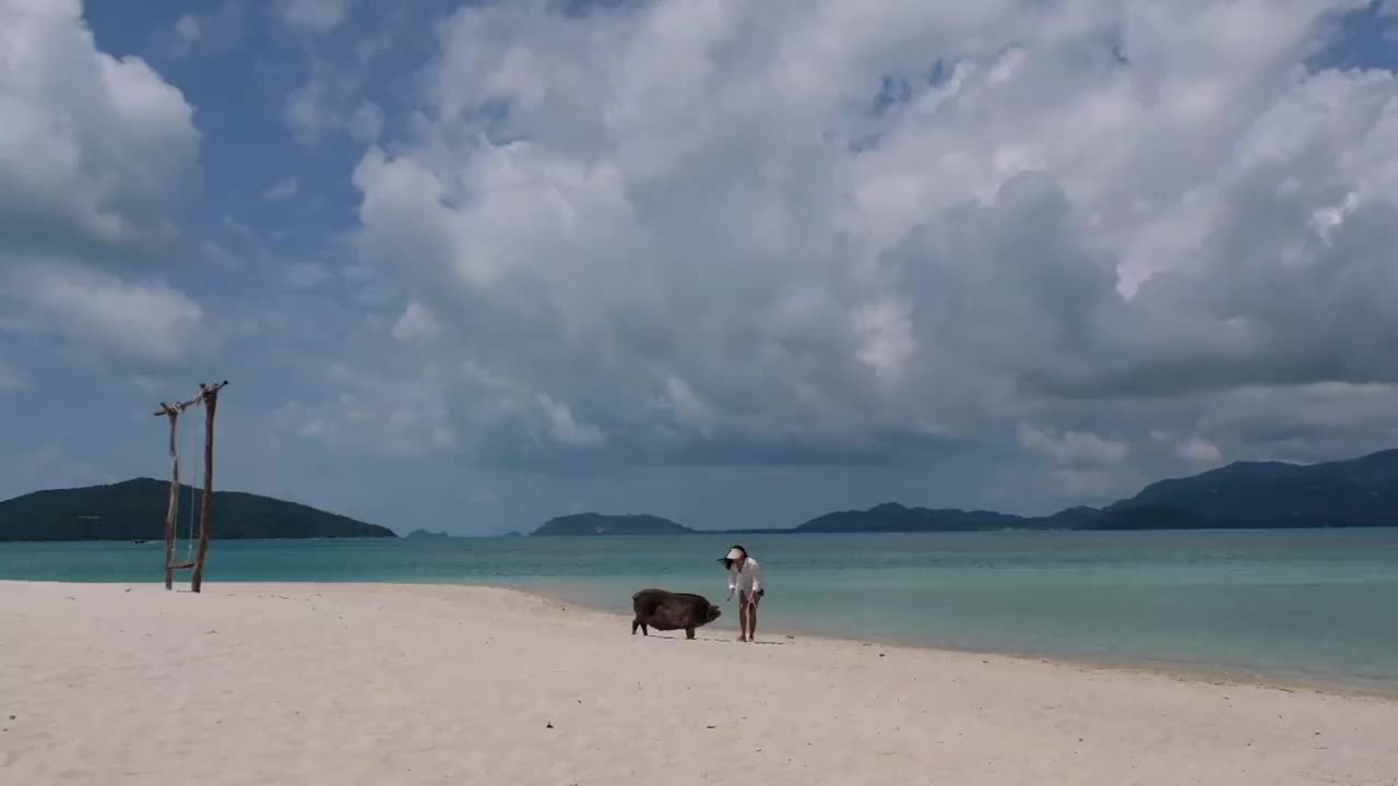 一个美丽的年轻亚洲女人和猪在猪岛的海边玩视频素材