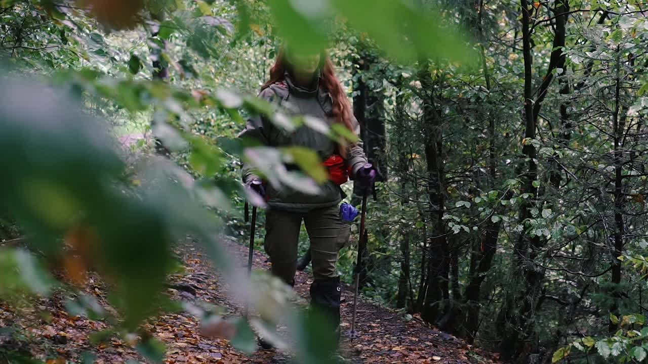 徒步旅行。一名女游客沿着山坡走着典当。喀尔巴阡山。乌克兰。视频素材