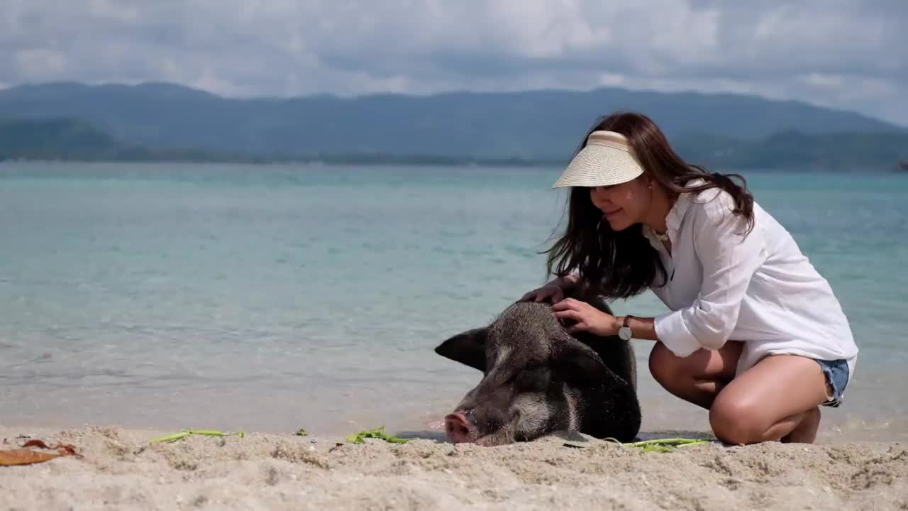 一个美丽的年轻亚洲女人和猪在猪岛的海边玩视频素材