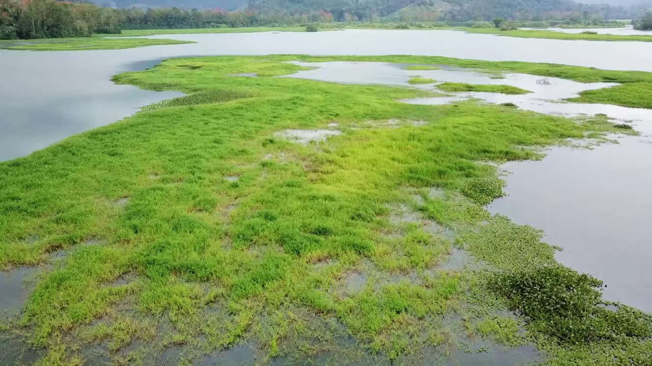 来自哥斯达黎加拉安戈斯图拉湖的航拍视频视频素材