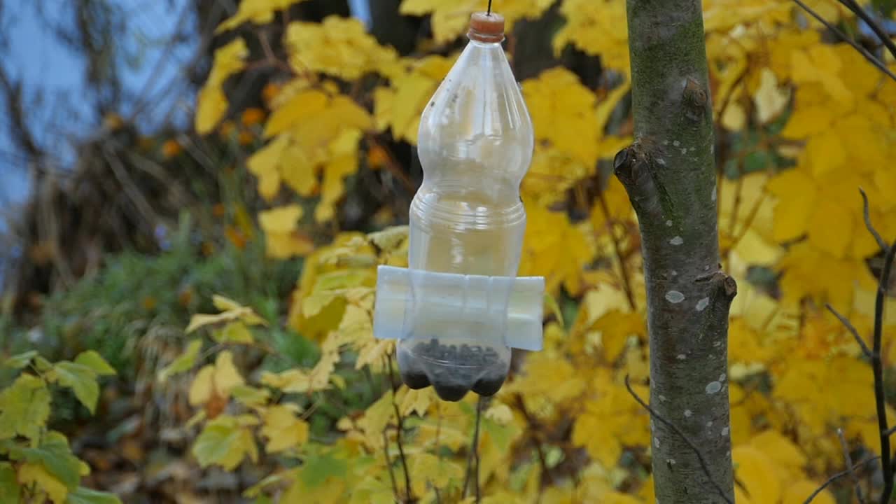 鸟山雀在喂食器前缓慢飞行视频素材