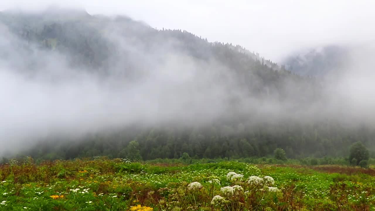 山水景观，自然背景视频下载