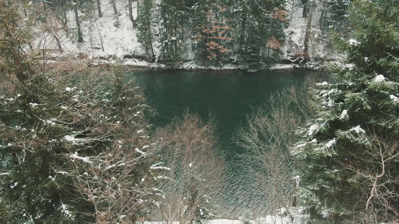 冬季塞尔维亚乌瓦茨河上的Kokin Brod湖全景视频。雪景背景是松林。采用CPL滤波器。视频下载