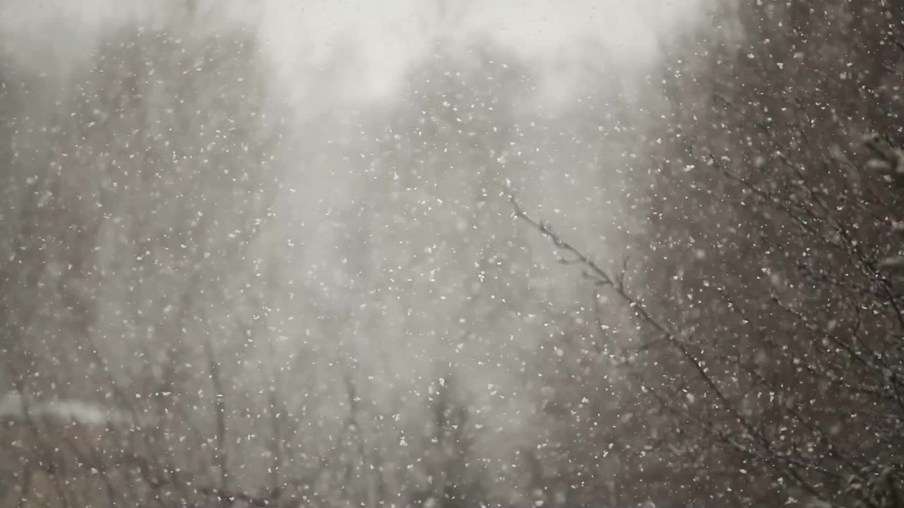 雪林背景的镜头视频素材