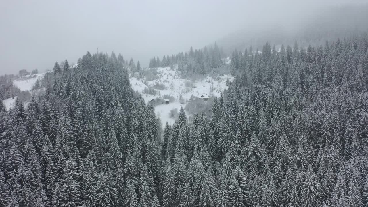 景区鸟瞰图的小村庄在松树山森林期间降雪和暴风雪视频素材