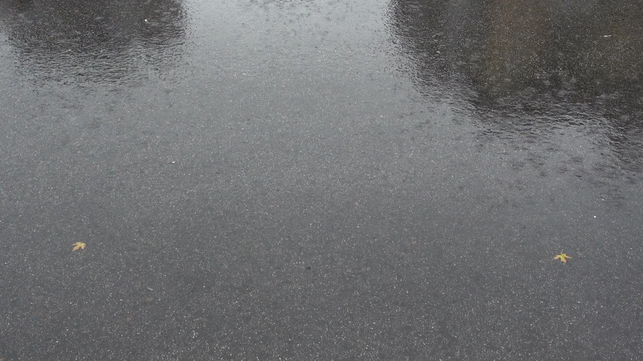 水坑和雨道阴影在4K视频素材