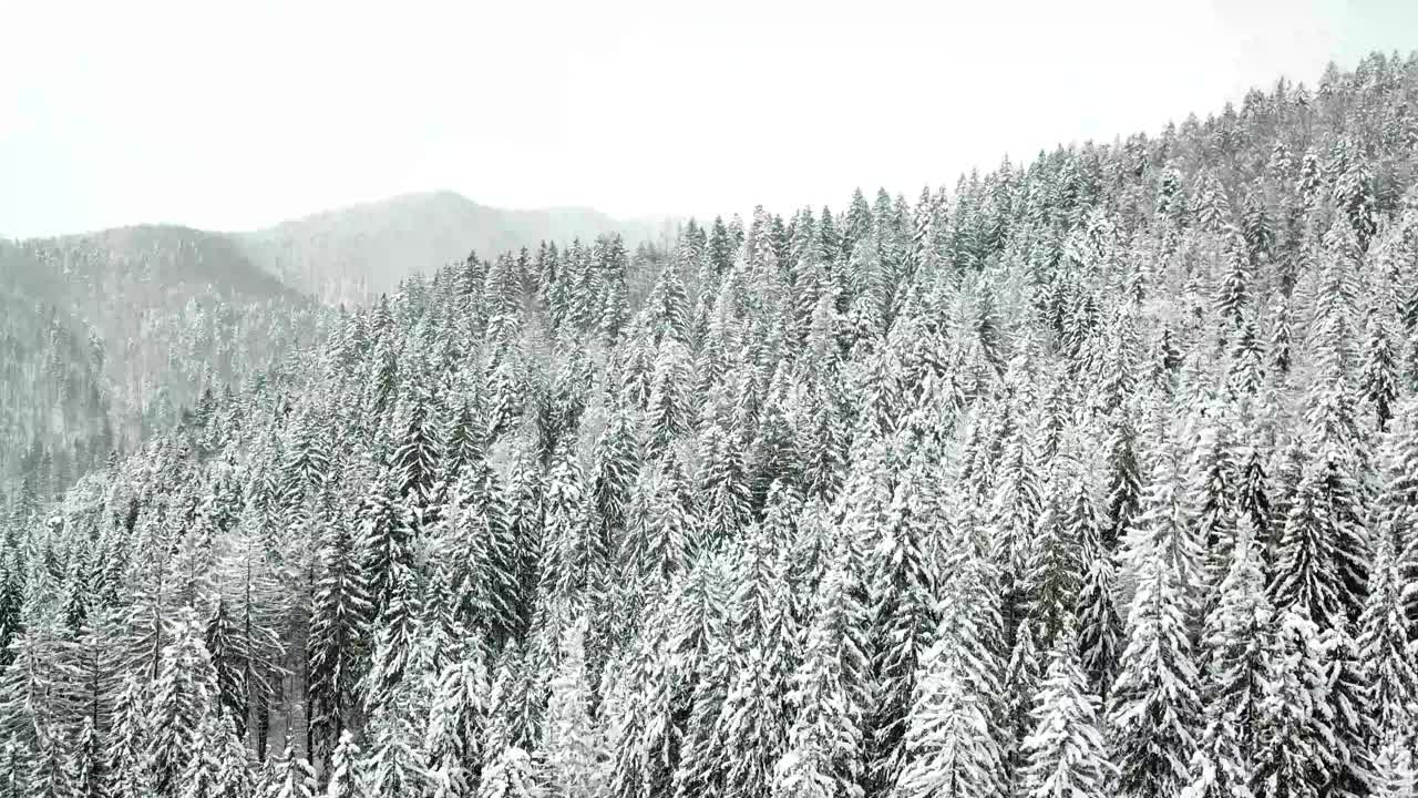 鸟瞰图的一个小屋在冬天田园诗般的雪建立拍摄。视频素材