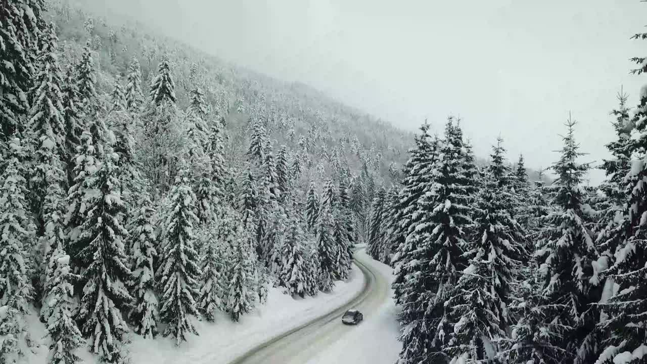 一辆汽车穿过山林路视频素材