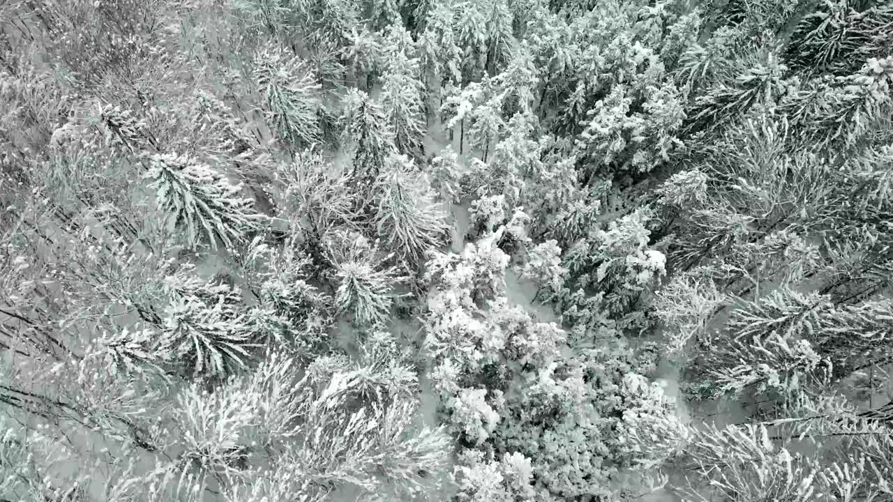 鸟瞰图的一个小屋在冬天田园诗般的雪建立拍摄。视频素材