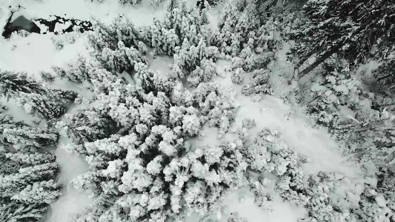 鸟瞰图的一个小屋在冬天田园诗般的雪建立拍摄。视频素材