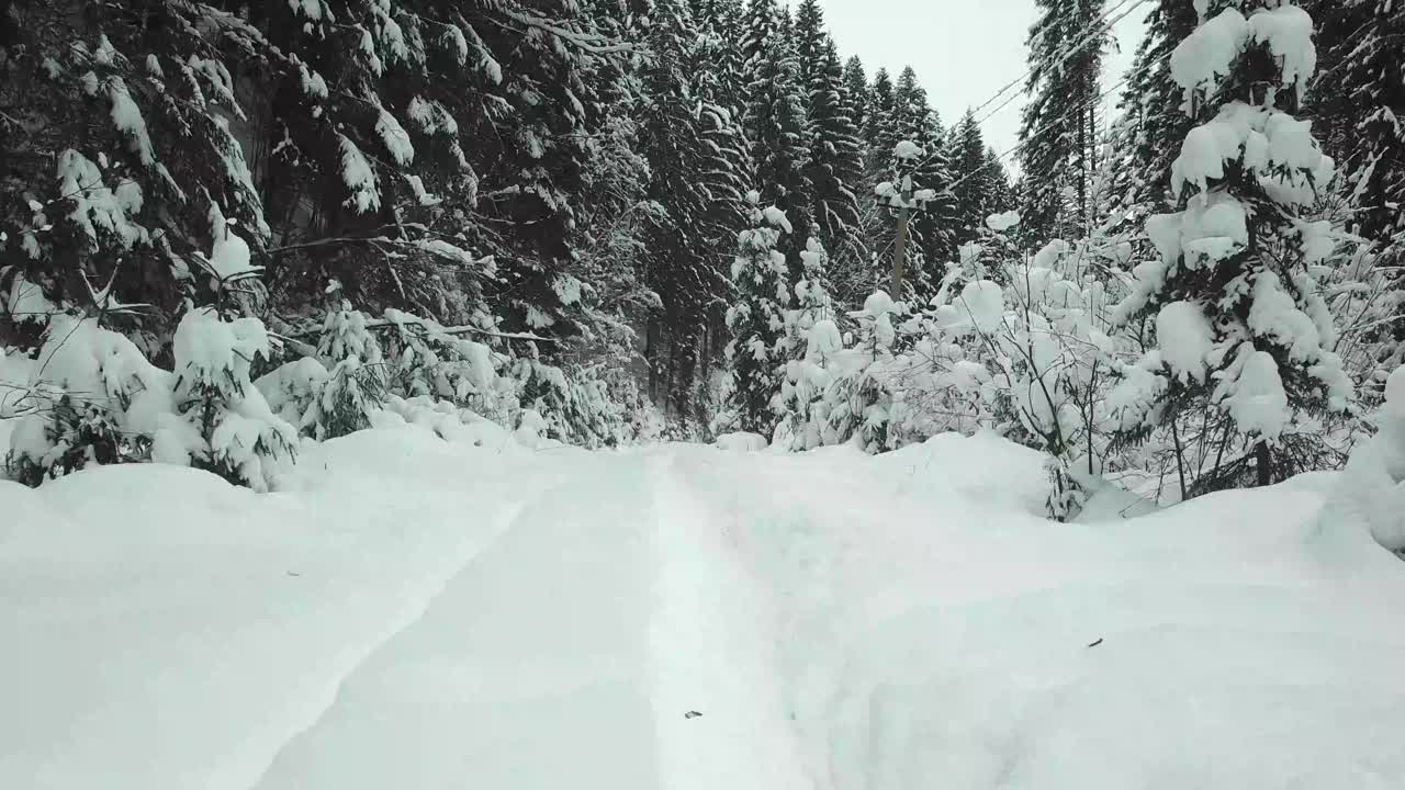 一辆汽车穿过山林路视频素材