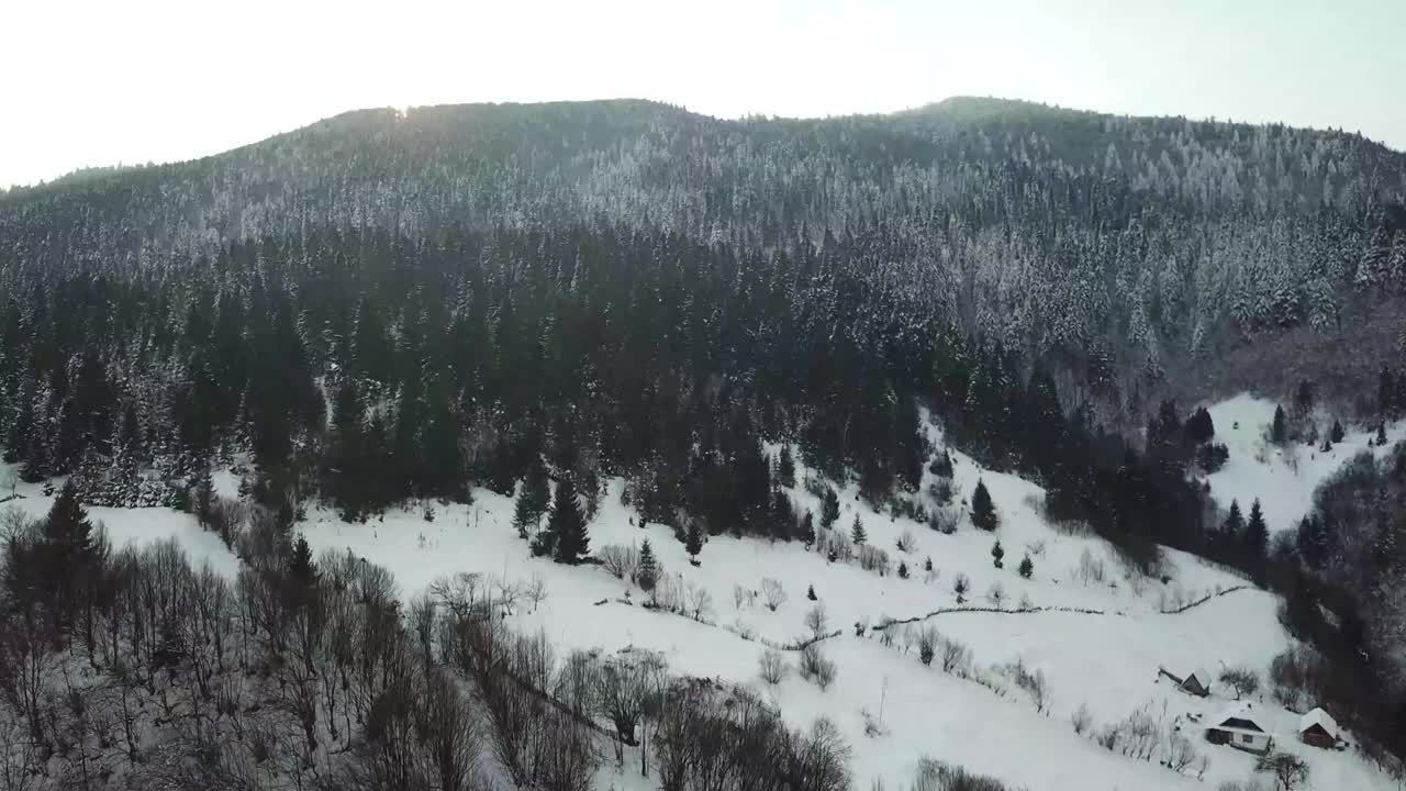 美丽的冬季全景与白雪覆盖的树木视频素材