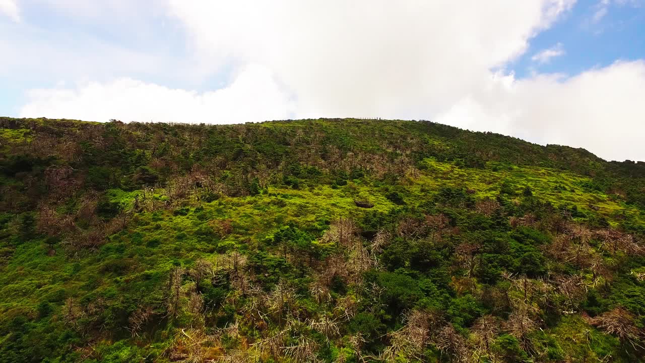 韩国济州岛Hallasan国家公园的徒步旅行路线视频素材