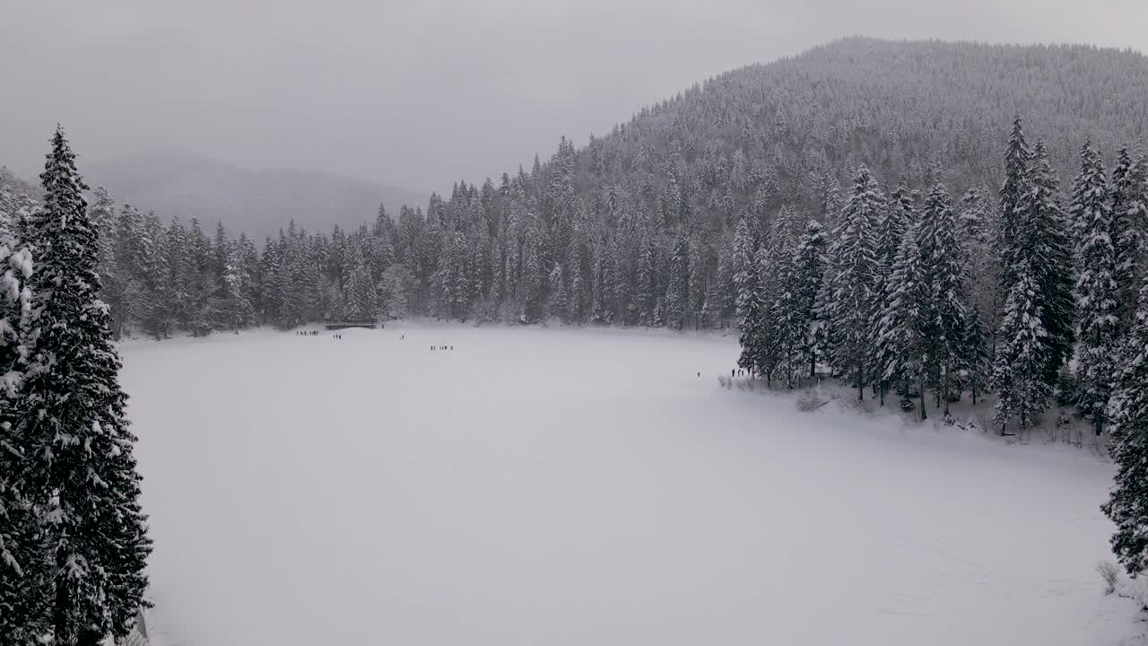 鸟瞰图冰冻森林与冰雪覆盖的湖在冬季在喀尔巴阡山脉视频素材