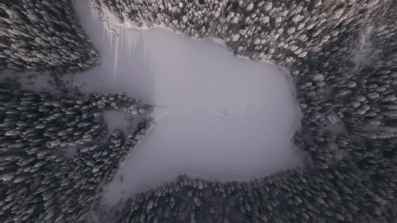 鸟瞰图冰冻森林与冰雪覆盖的湖在冬季在喀尔巴阡山脉视频素材